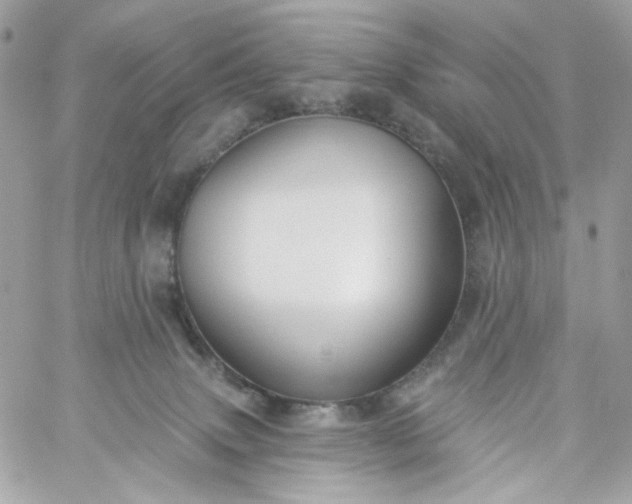 X0000059240083200510281941