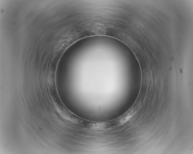 X0000059240088200510281941