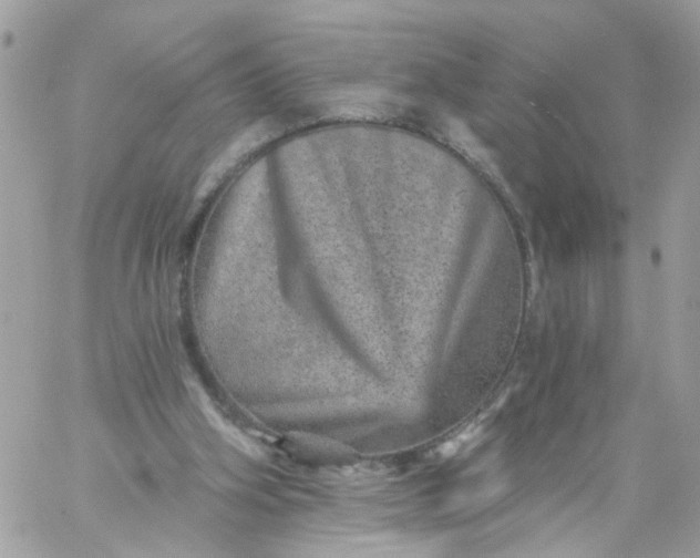 X0000059240106200510281941