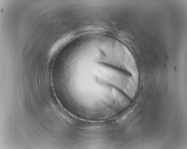 X0000059240149200510281939