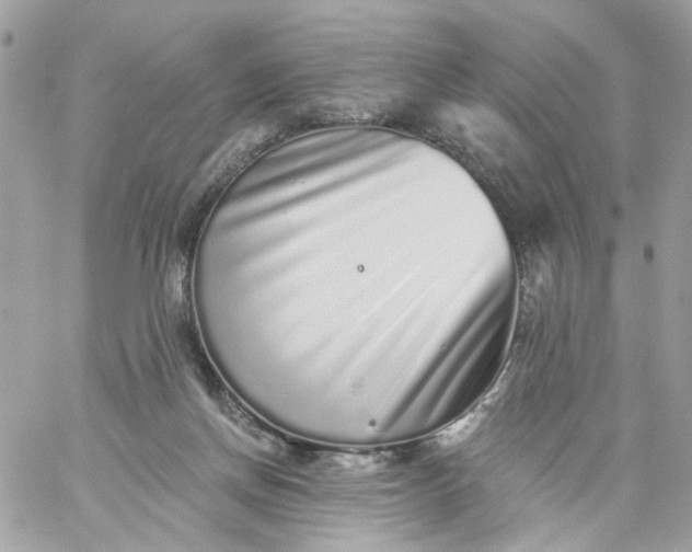 X0000059240166200510281940