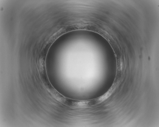 X0000059240184200510281940