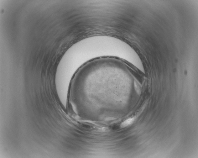 X0000059240185200510281940