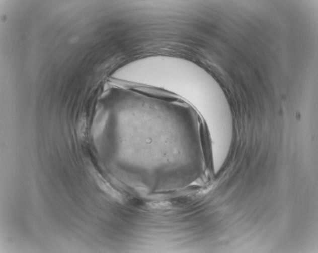 X0000059240189200510281940