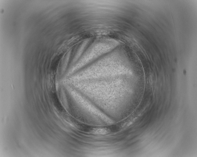 X0000059240218200510281939