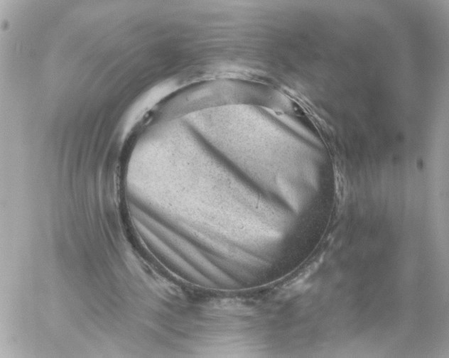 X0000059240244200510281938