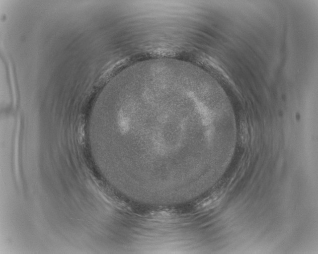 X0000059240259200510281938
