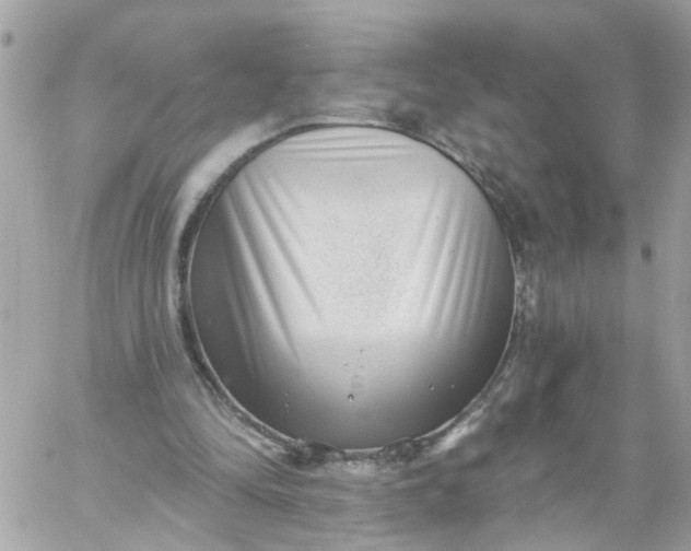 X0000059240294200510281938