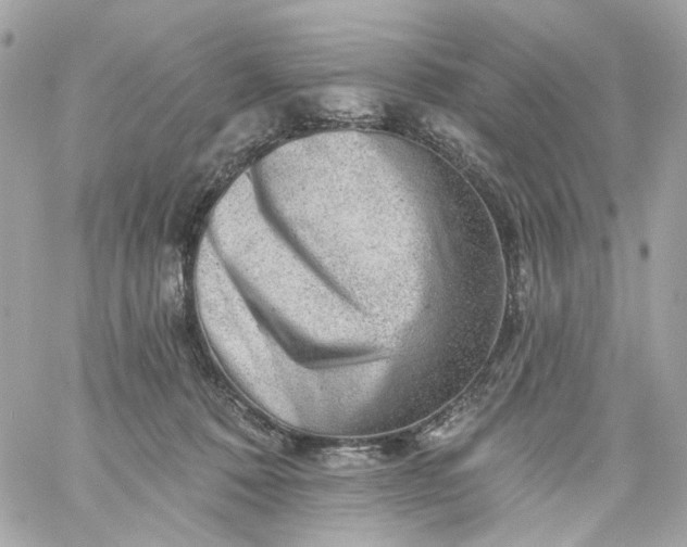 X0000059240320200510281937