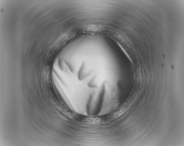 X0000059240328200510281937