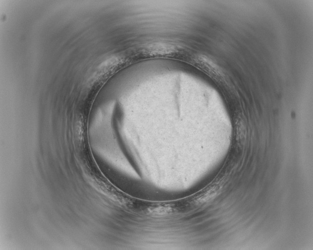X0000059240362200510281937