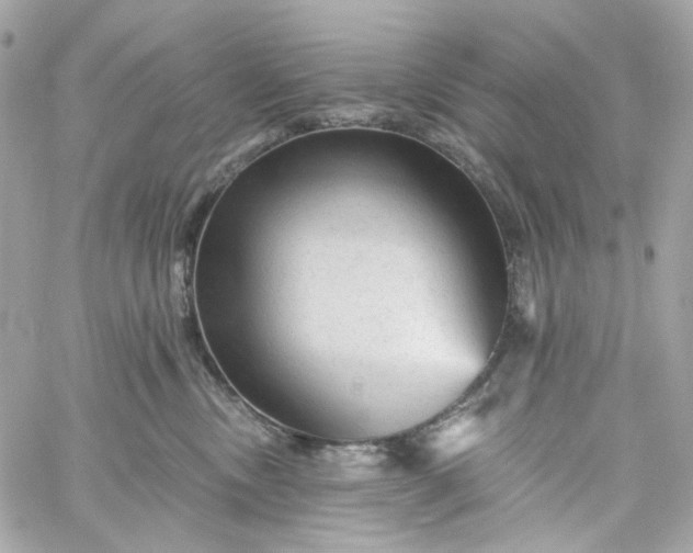 X0000059240378200510281937