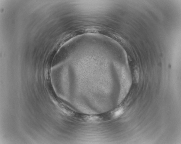 X0000059240379200510281937