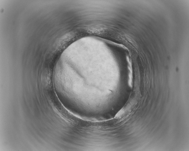 X0000059240408200510281936