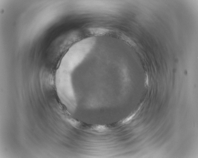 X0000059240431200510281935