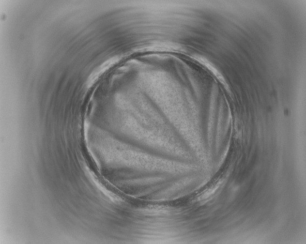 X0000059240437200510281935