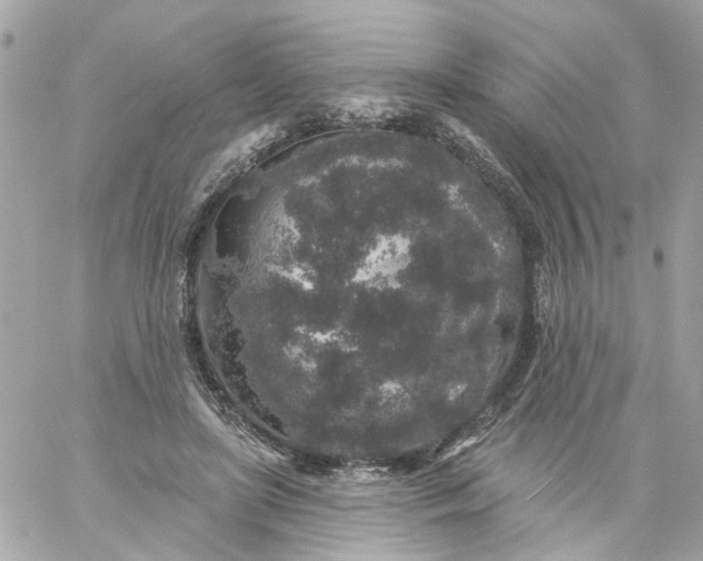 X0000059240451200510281935