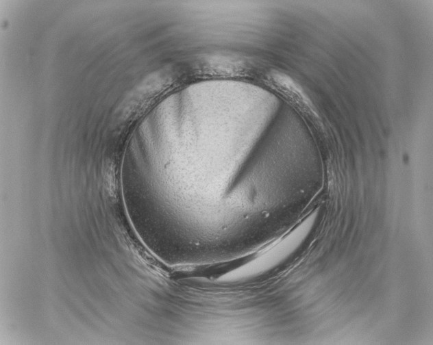 X0000059240457200510281935