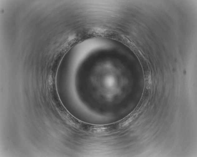 X0000059240472200510281935