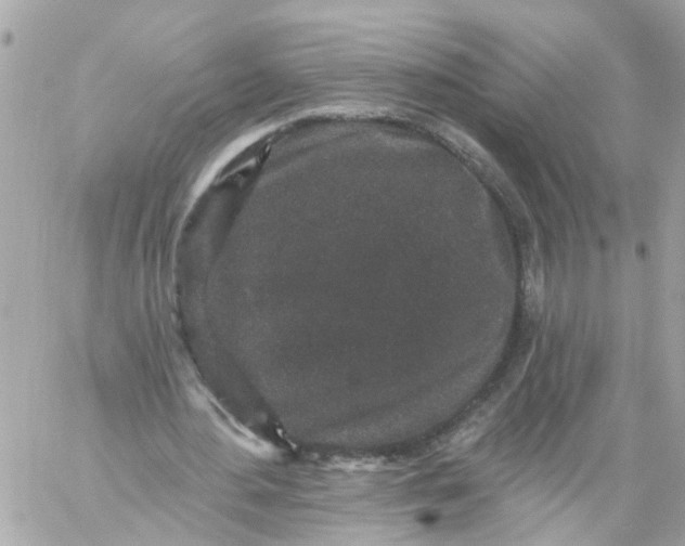 X0000059240484200510281934