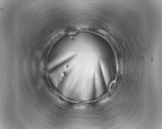 X0000059240523200510281934