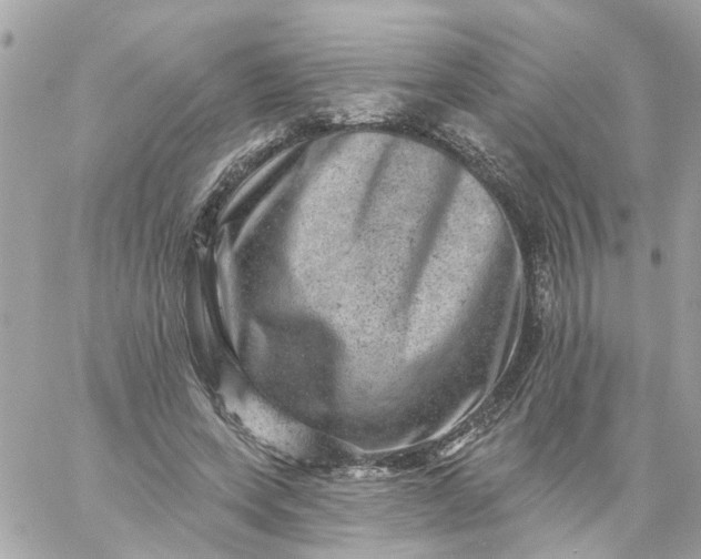 X0000059240543200510281933