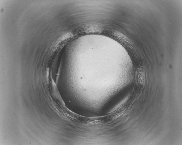 X0000059240550200510281933