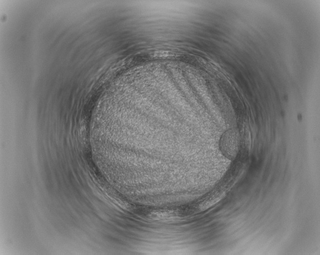 X0000059240557200510281933