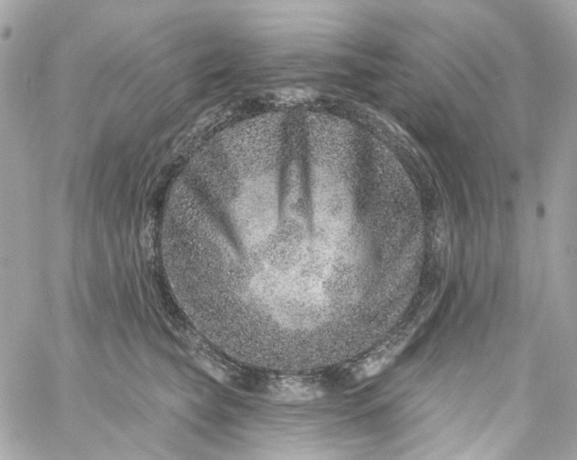 X0000059240565200510281934