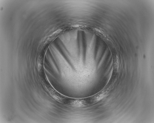 X0000059240566200510281934