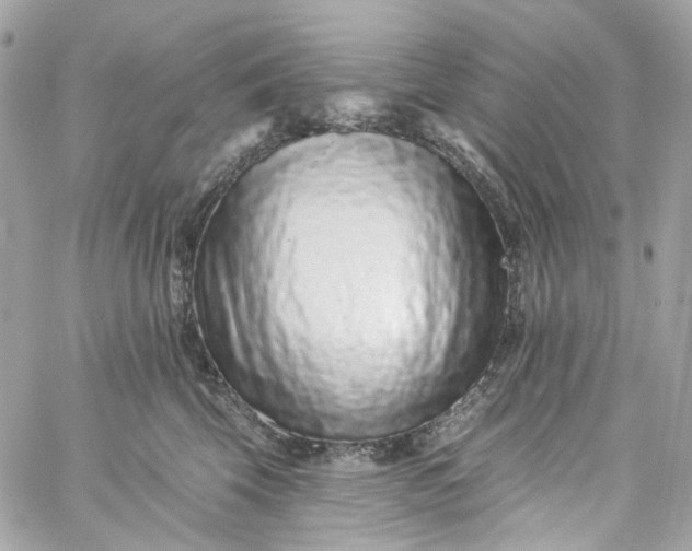 X0000059240569200510281934
