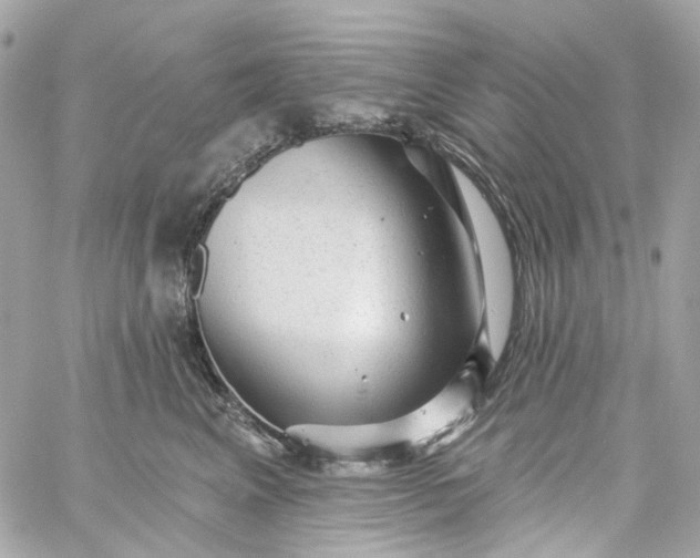 X0000059240617200510281932