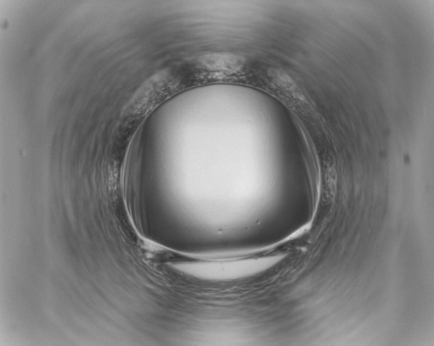 X0000059240657200510281932