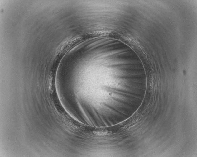 X0000059240693200510281931