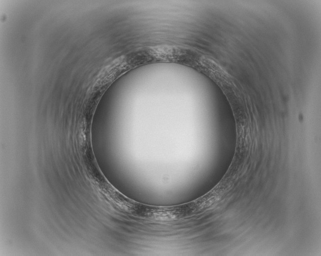 X0000059240702200510281931
