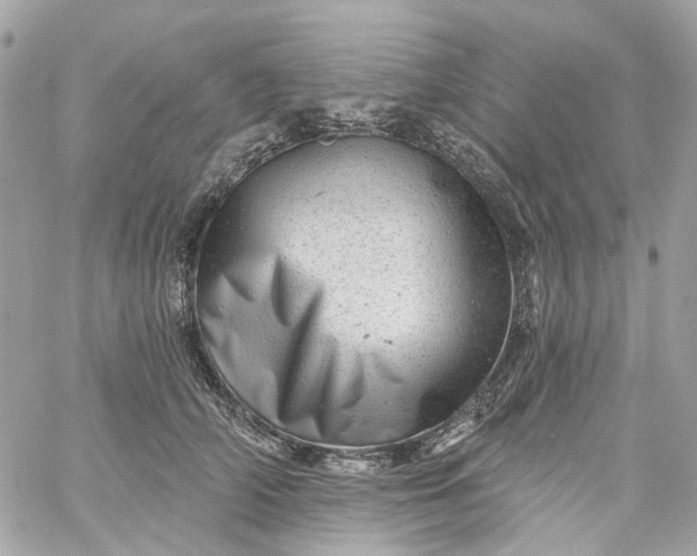 X0000059240706200510281931