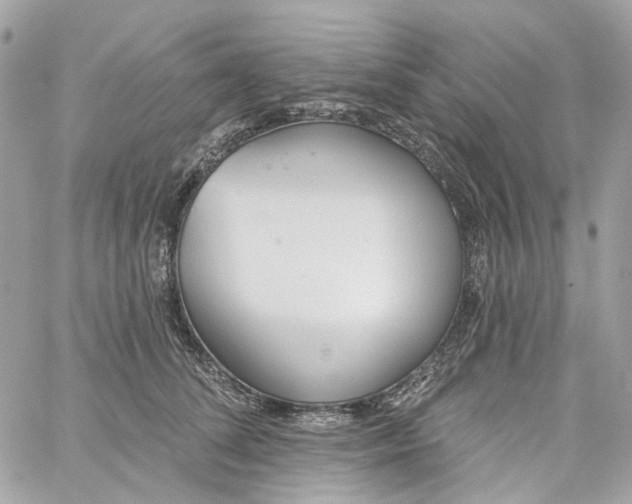 X0000059240708200510281931