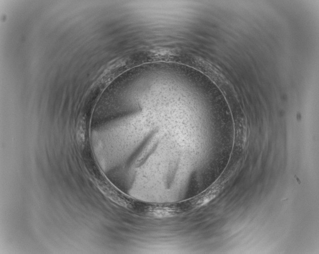 X0000059240710200510281931