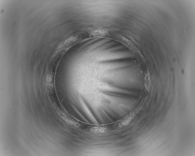 X0000059240714200510281931