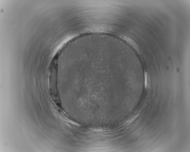 X0000059240723200510281930