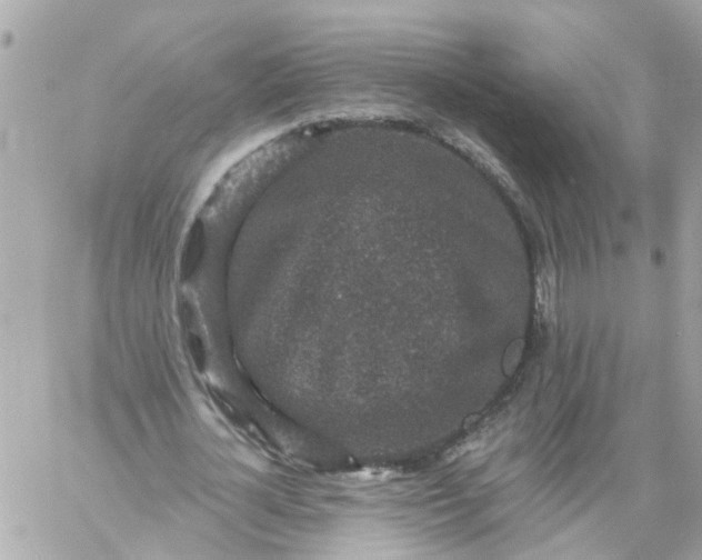 X0000059240724200510281930