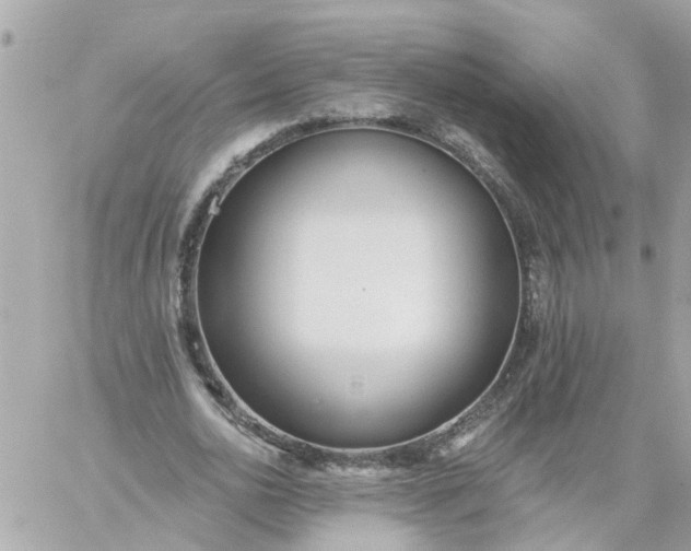 X0000059240726200510281930