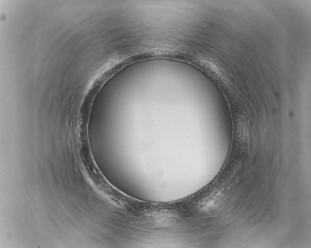 X0000059240730200510281930