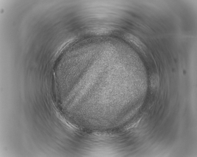X0000059240733200510281930