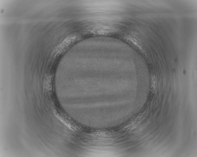 X0000059240738200510281930