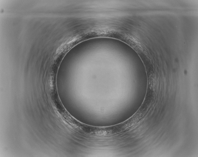 X0000059240740200510281930