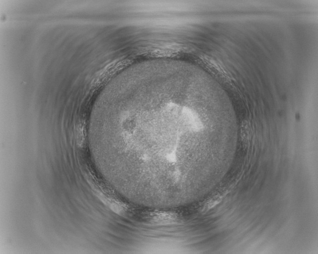 X0000059240741200510281930