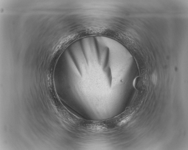 X0000059240743200510281930