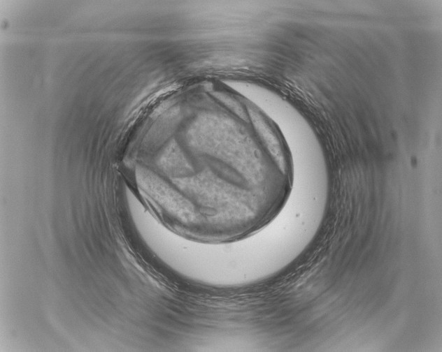 X0000059240744200510281930