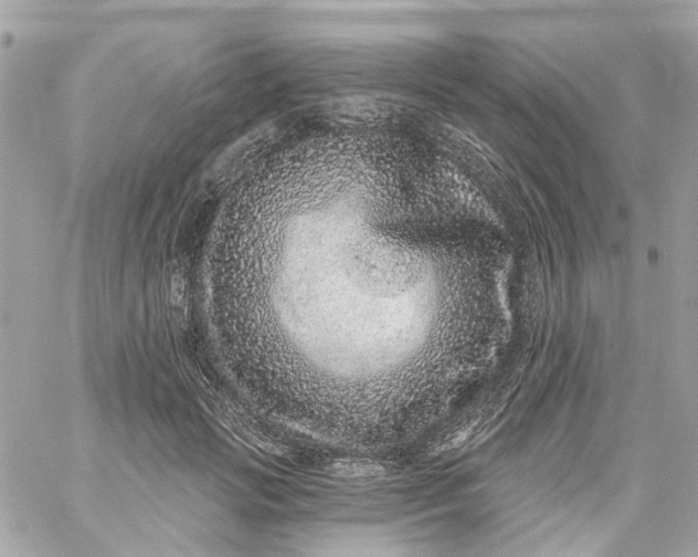 X0000059240749200510281930